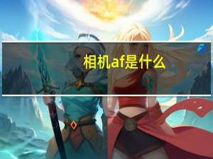 相机af是什么