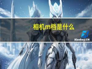 相机m档是什么