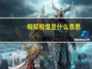 相知相惜是什么意思