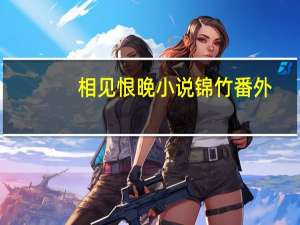 相见恨晚小说锦竹番外（相见恨晚小说）