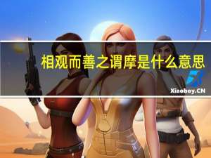 相观而善之谓摩是什么意思