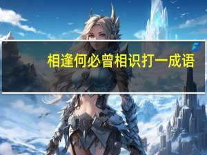 相逢何必曾相识打一成语