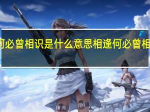 相逢何必曾相识是什么意思 相逢何必曾相识的上一句