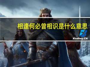 相逢何必曾相识是什么意思（相逢影院）