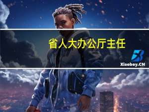 省人大办公厅主任