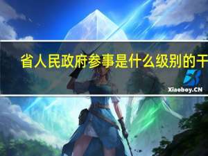 省人民政府参事是什么级别的干部