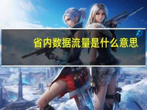 省内数据流量是什么意思