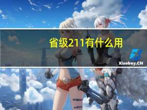 省级211有什么用