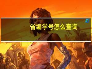 省编学号怎么查询