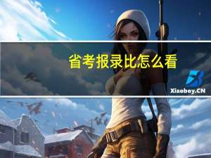 省考报录比怎么看