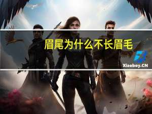 眉尾为什么不长眉毛(眉毛太少眉尾几乎没有眉毛怎么办)