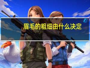 眉毛的粗细由什么决定