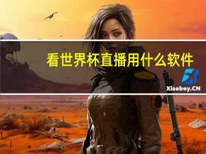 看世界杯直播用什么软件