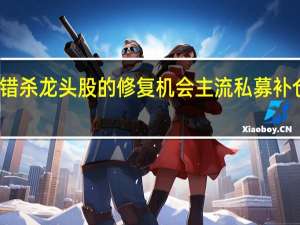 看好错杀龙头股的修复机会 主流私募补仓白马蓝筹