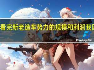 看完新老造车势力的规模和利润 我困惑了