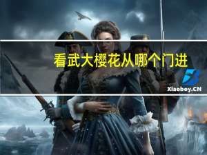 看武大樱花从哪个门进