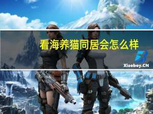 看海养猫同居会怎么样