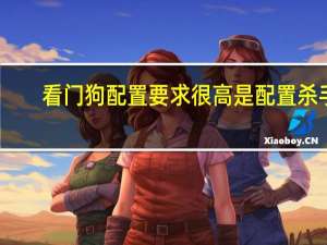 看门狗配置要求很高是配置杀手（看门狗配置要求）