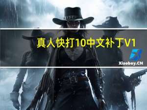 真人快打10中文补丁 V1.0.0.3 官方版（真人快打10中文补丁 V1.0.0.3 官方版功能简介）