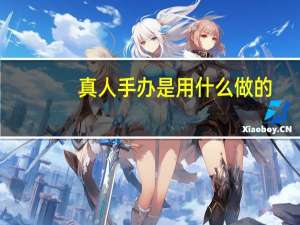 真人手办是用什么做的
