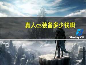 真人cs装备多少钱啊（真人cs装备多少钱一套）