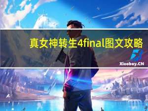 真女神转生4final图文攻略（真女神转生4f）