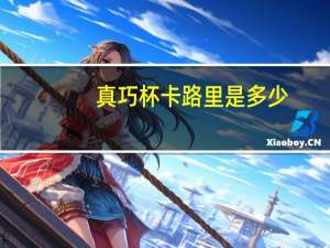 真巧杯卡路里是多少