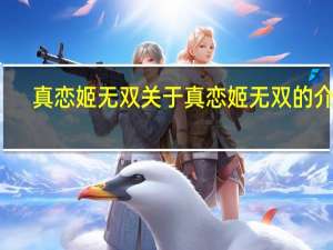 真 恋姬无双 关于真 恋姬无双的介绍