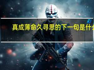 真成薄命久寻思的下一句是什么