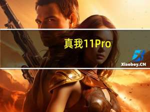 真我11Pro+今天正式发布全系12GB内存起步