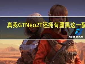 真我GTNeo2T还拥有墨黑这一配色