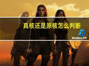 真核还是原核怎么判断