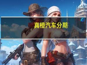 真橙汽车分期