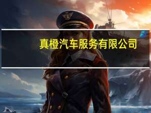 真橙汽车服务有限公司（真鲜橙简介）