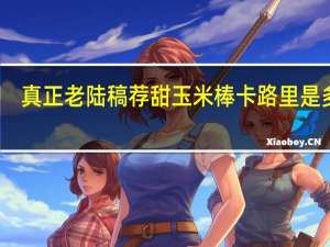 真正老陆稿荐甜玉米棒卡路里是多少