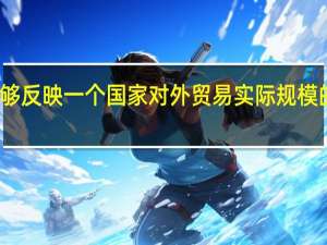 真正能够反映一个国家对外贸易实际规模的指标是什么