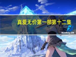 真爱无价第一部第十二集（真爱无价第二部）