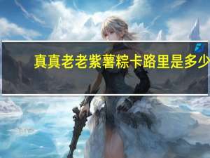 真真老老 紫薯粽卡路里是多少