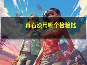 真石漆用哪个检验批