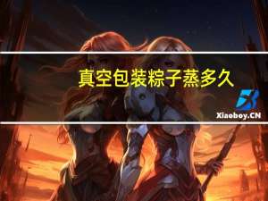 真空包装粽子蒸多久