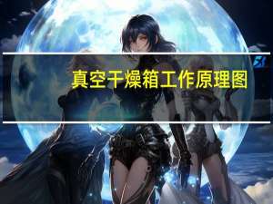 真空干燥箱工作原理图（真空干燥箱原理）