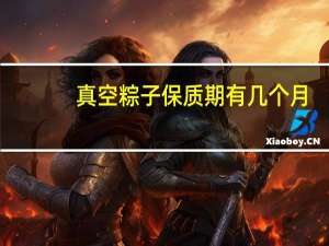 真空粽子保质期有几个月