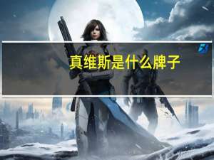 真维斯是什么牌子