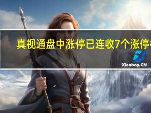 真视通盘中涨停已连收7个涨停板