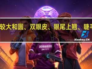 眼睛比较大和圆、双眼皮、眼尾上翘、睫毛长、眼袋大，眼皮容易出油。怎么画眼妆