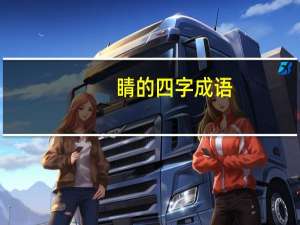 睛的四字成语