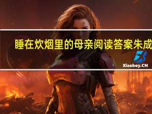 睡在炊烟里的母亲阅读答案朱成玉（睡在炊烟里的母亲阅读答案）