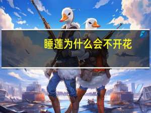睡莲为什么会不开花