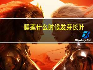 睡莲什么时候发芽长叶