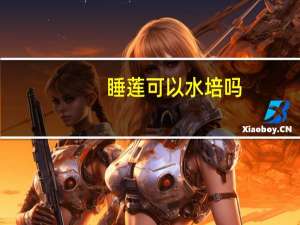 睡莲可以水培吗
